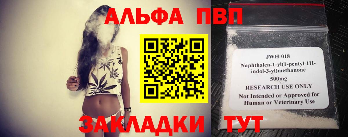 Альфа ПВП СК КРИС Карачаевск