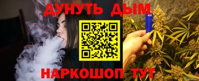 индика Жуковский