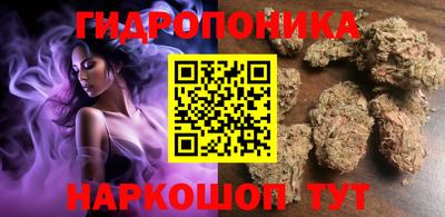 mdpv Заводоуковск