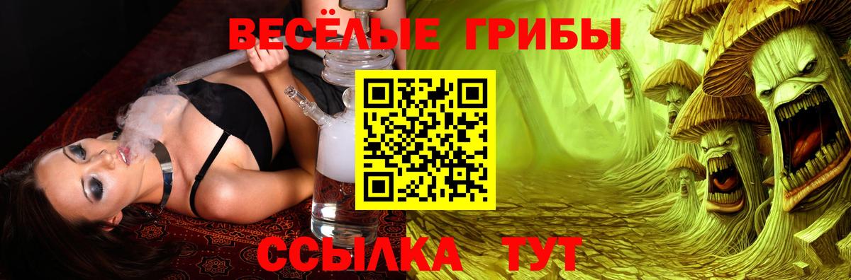 Псилоцибиновые грибы мицелий  Галлюциногенные грибы GOLDEN TEACHER  Вход с VPN  Карачаевск 