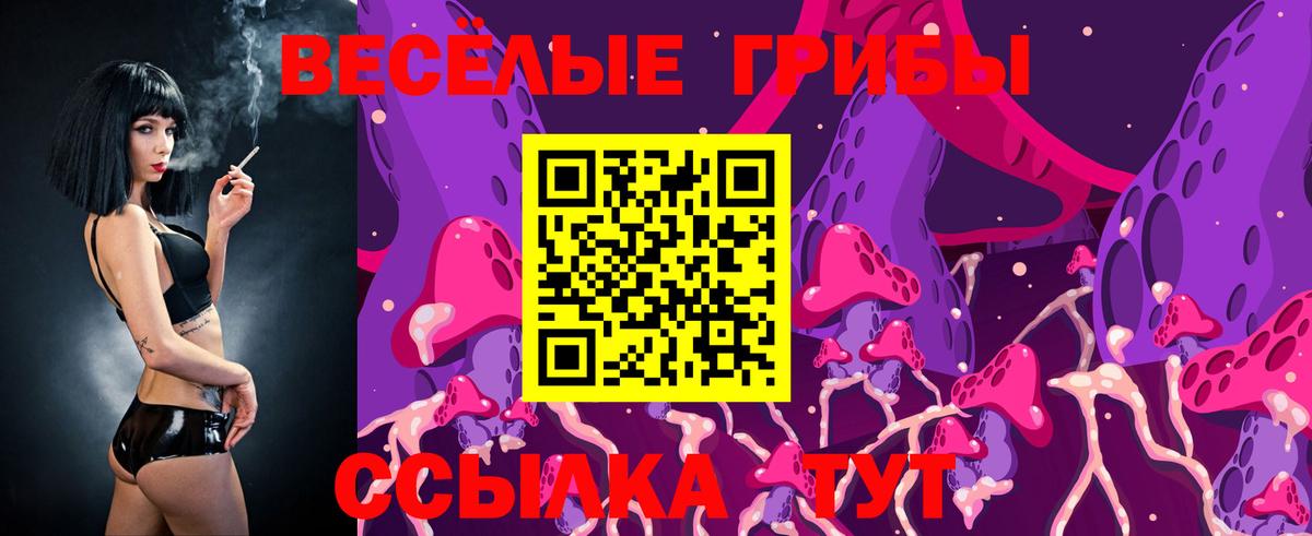 Псилоцибиновые грибы мухоморы Карачаевск
